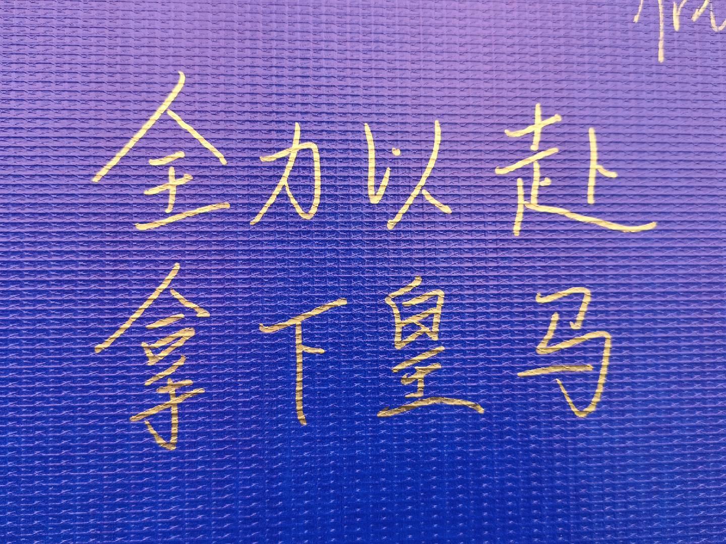 vinbet浩博案例展示